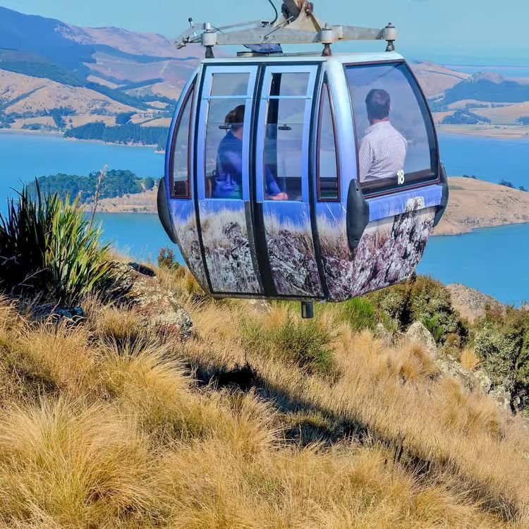 Christchurch city tours